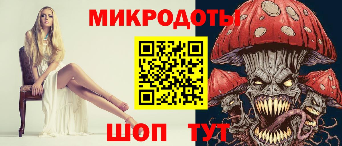 Псилоцибиновые грибы Psilocybe  магазин продажи наркотиков  Тайшет  Вход с VPN 