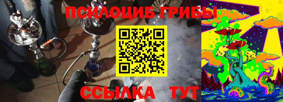 Псилоцибиновые грибы мицелий Тайшет